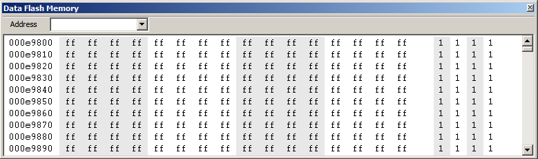 W_DataFlashMemory.png